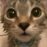 uqtdev
