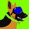 baileybeethepuppy