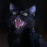 Meows_The_CoolGuy