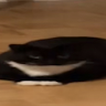 Otatop