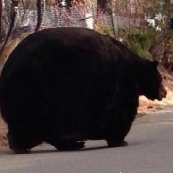GabetronX