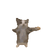 celldiegomelgar