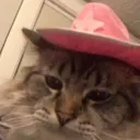 nikothana