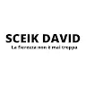 sceikdavidyt