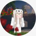 Vxlancity